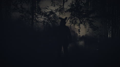 silhouette of person in forest at night