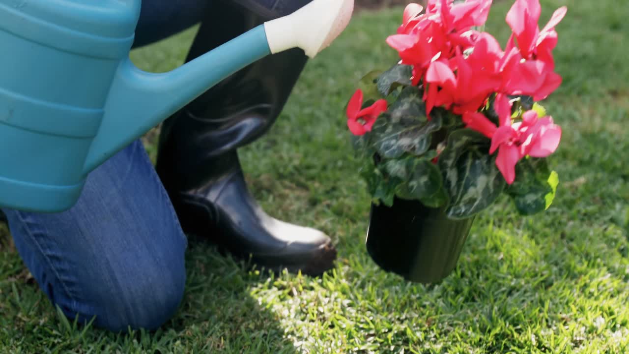 hombre regando planta en el jardín 4k