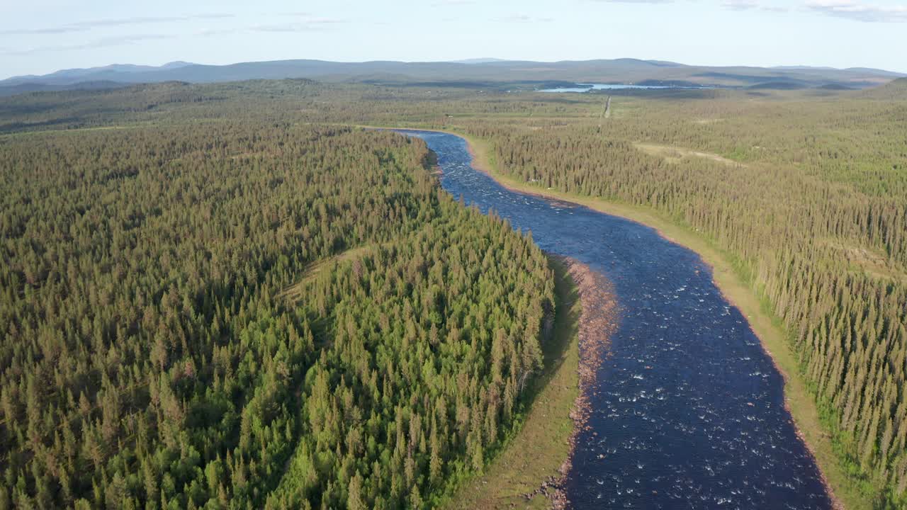 Droneskud af vild flod i Nordsverige omgivet af dyb skov