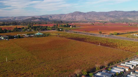 panorámica aérea de montañas onduladas y hojas amarillas, rojas y amarillas de colores en las hojas de los viñedos del valle de napa