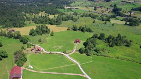 vista aérea del bosque y granjas