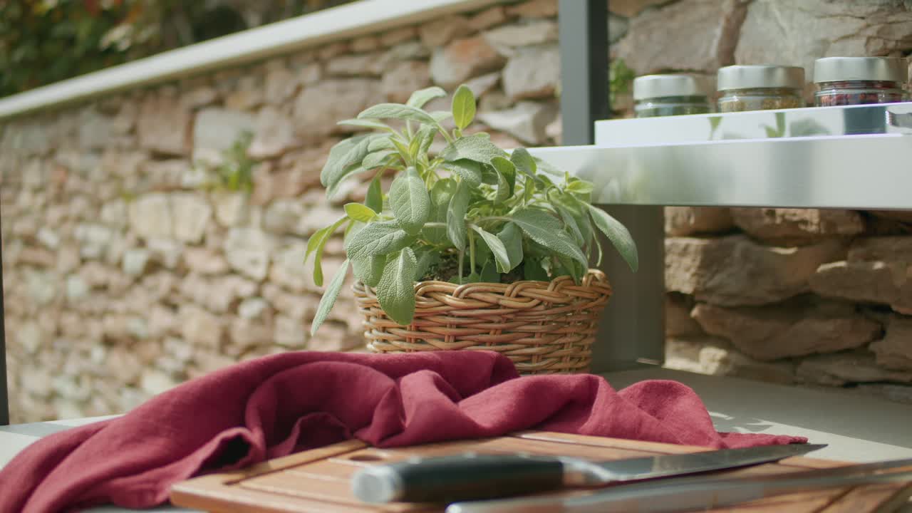 Close Up Shot Of Green Sage Plant In Outdoor Kitchen In Fresh Air