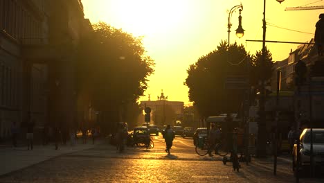 urban scenery of beautiful berlin during atmospheric summer sunset