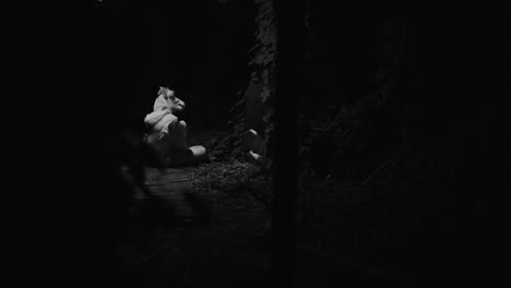 night scene with animal silhouette