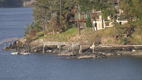 lake in the pnw - beauty