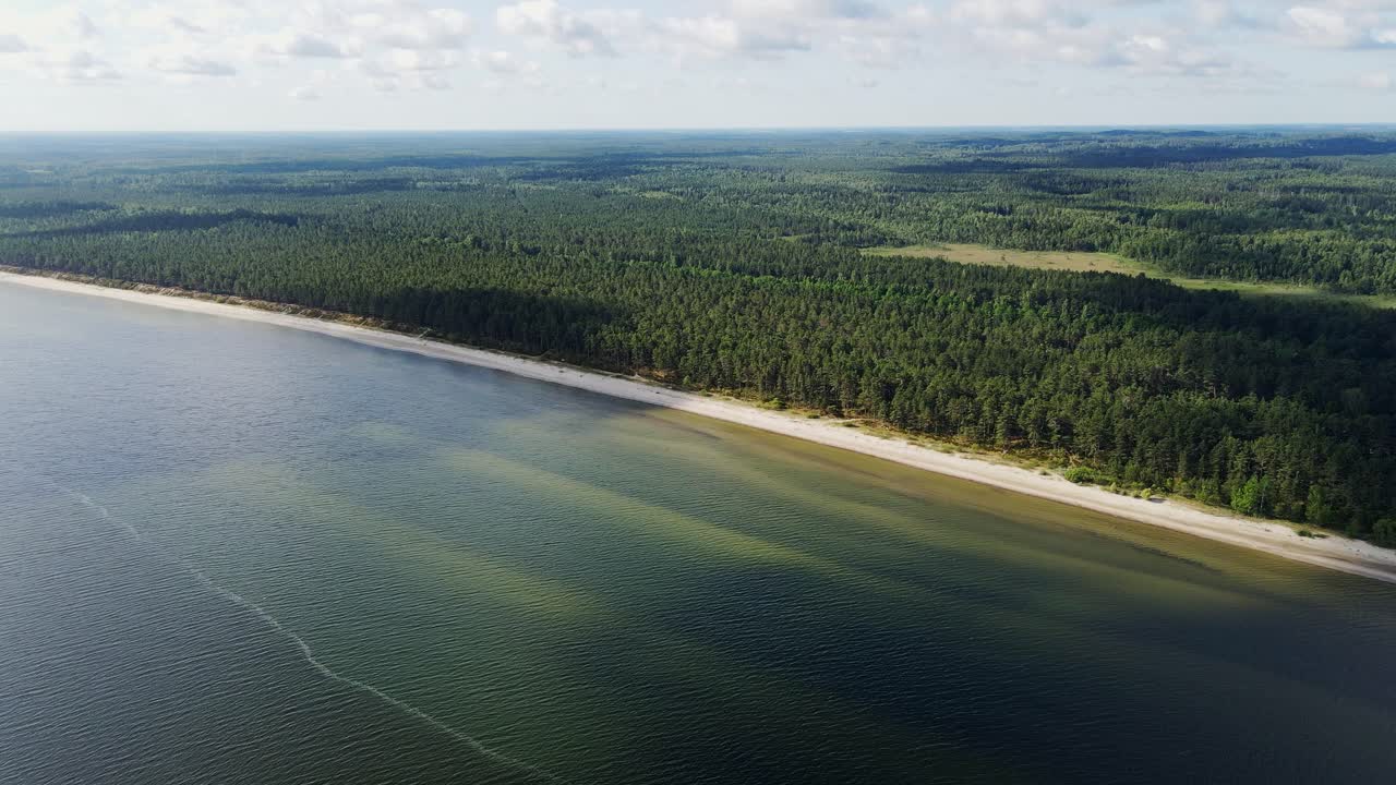Aerial shot of pine forest stretching inland beside calm Baltic Sea in Apšuciems