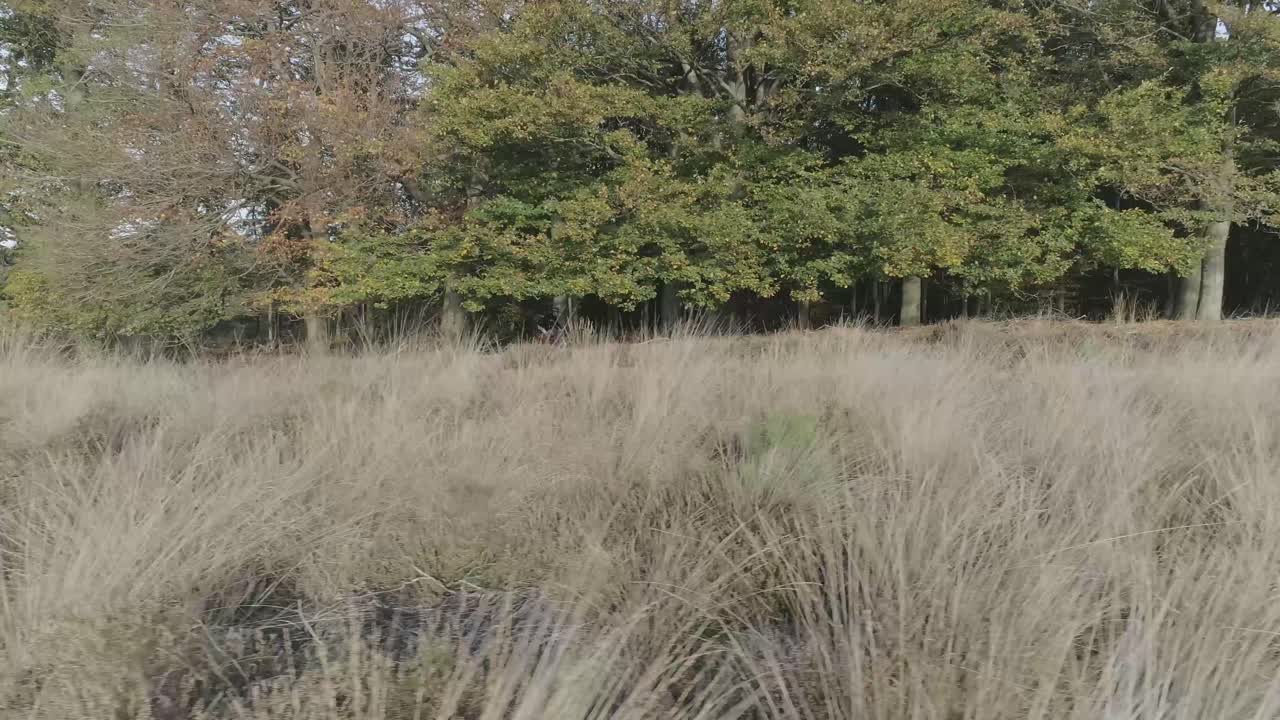 숲 오르막길을 달리는 산악 자전거 타는 사람의 측면 드론 샷