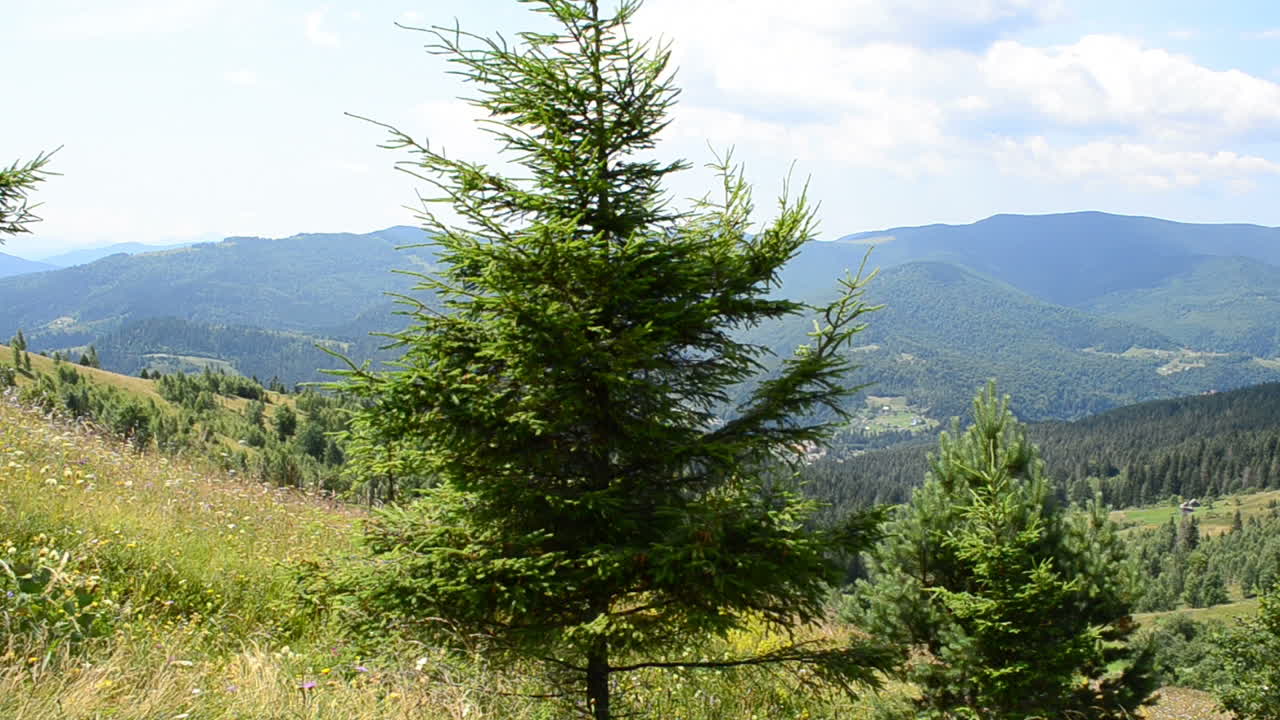 Mountain landscape in the summer. Summer and mountains