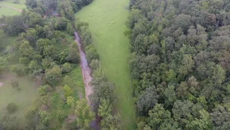 Tomas-Aereas-De-Un-Bosque