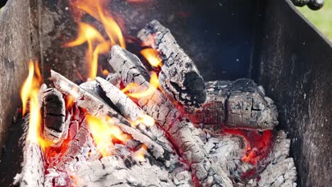 vista en cámara lenta de fuego caliente quemando leña con carbón en el suelo
