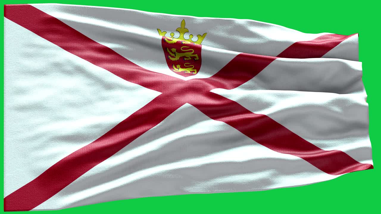 4k 매우 상세한 저지 발 - 저지 플래그 높은 상세 - 국가 발 저지 파동 패턴 루프 가능한 요소