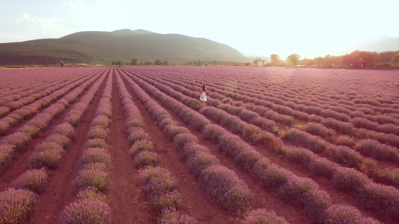 una mujer con un vestido blanco caminando por un campo de lavanda al atardecer