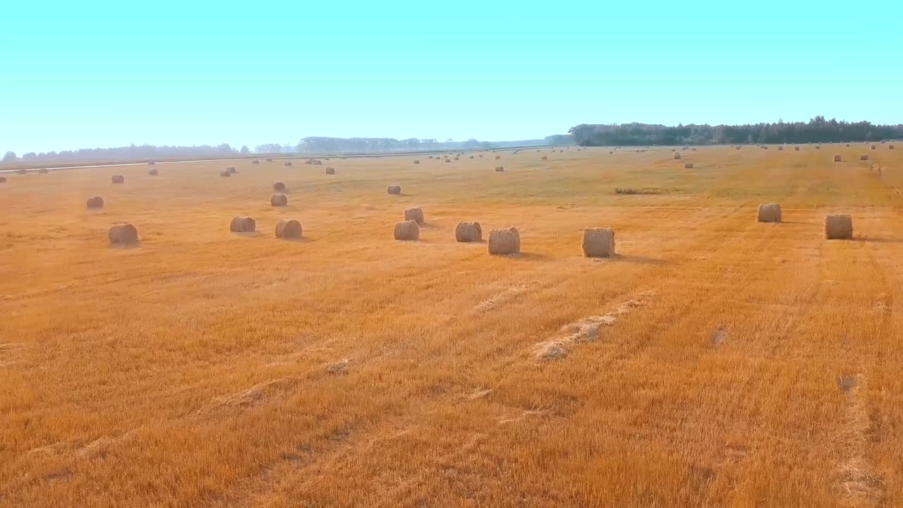 el dron vuela sobre un campo donde hay pajares con heno.