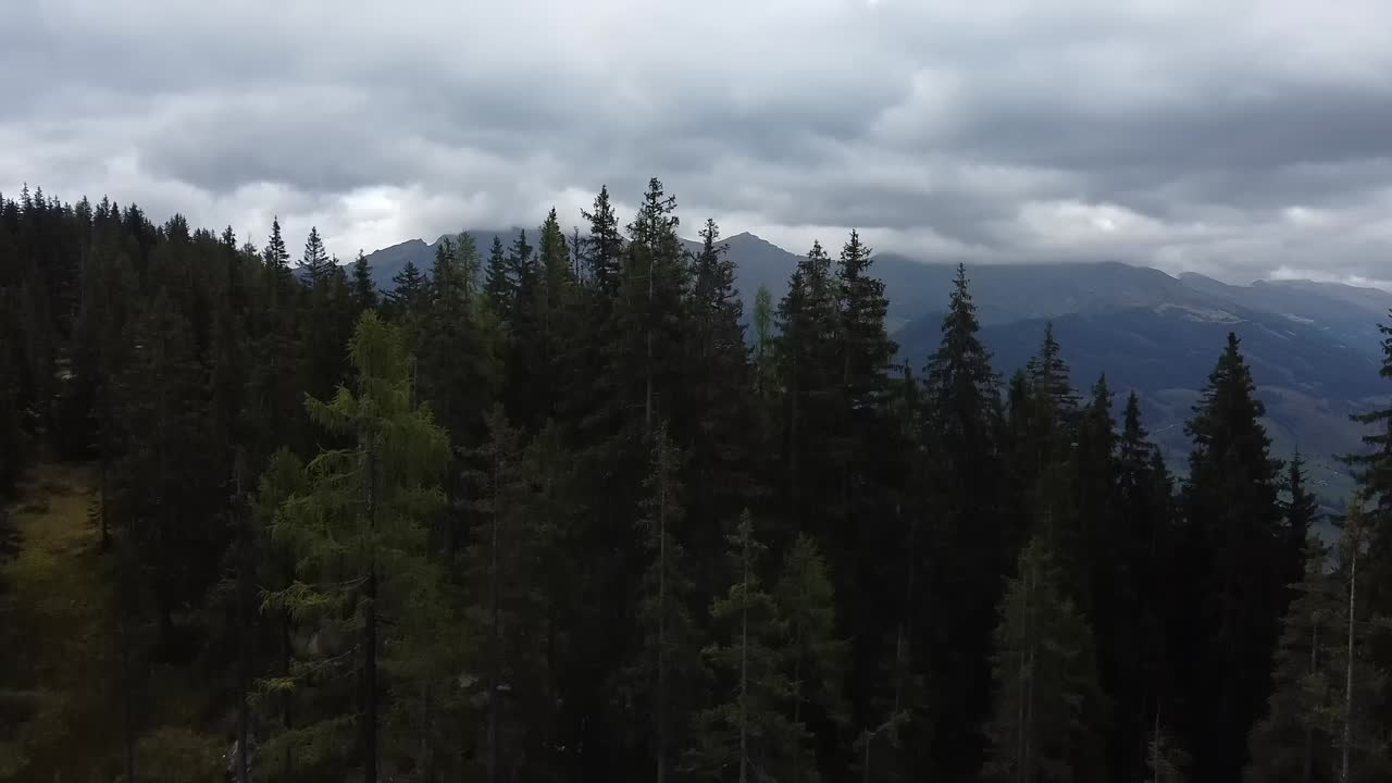 un dron sale volando de un bosque oscuro y mira hacia el bosque en un valle en un día nublado