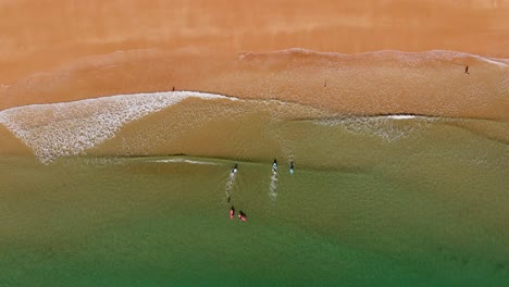 people surfing in idyllic clear water with golden beach