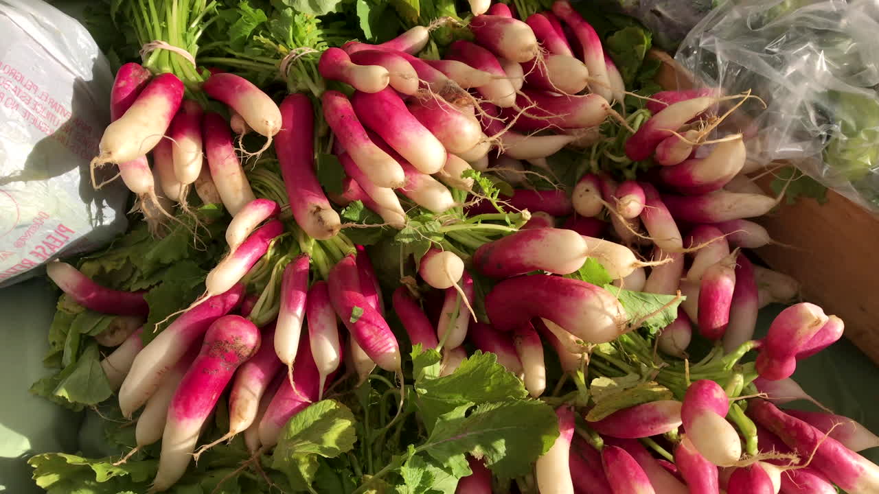 Frische, lange rote Radieschen in Nahaufnahme auf einem Wochenmarkt im Freien