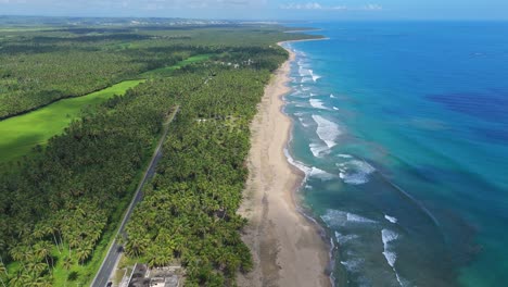 aerial view of tropical beach in puerto rico