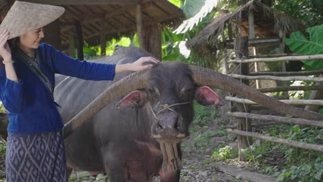 relationship among girl and his buffalo