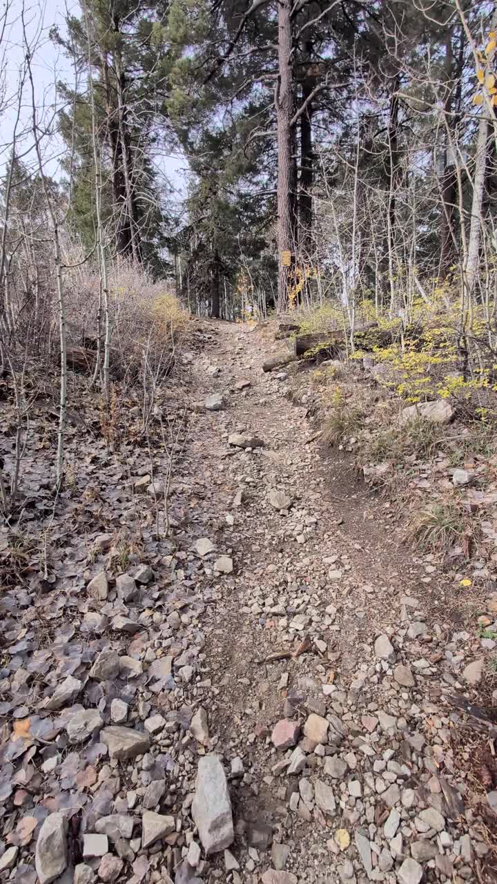 Clip soggettiva di una camminata in salita lungo un sentiero roccioso attraverso un'area boschiva, con terreno irregolare, pietre sparse e alberi ad alto fusto che creano un ambiente naturale all'aperto