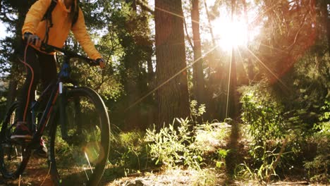 Ciclista-De-Montaña-Femenina-Montando-En-El-Bosque