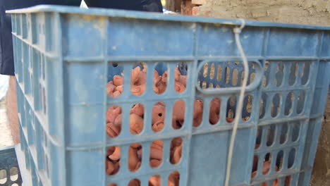 low angle looking through crate as hand lowers clay animal figurines, than ha hoi an vietnam