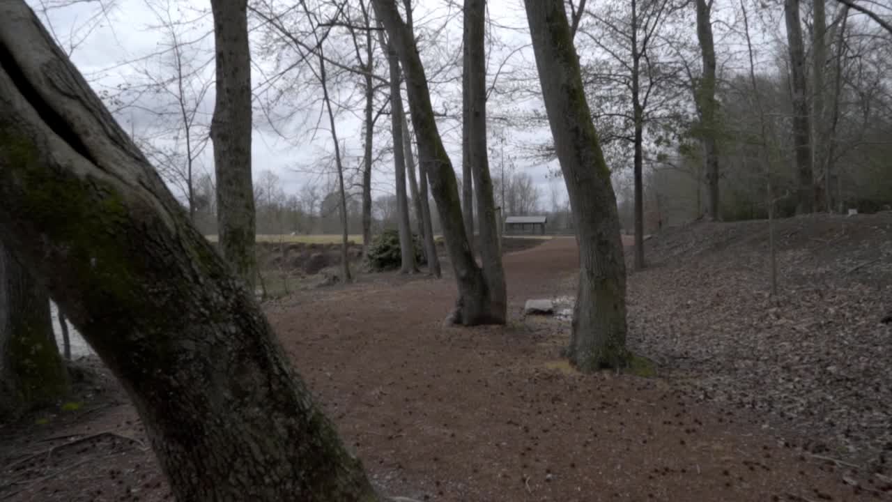 カメラがい日池の近くの木々を押すスローモーション