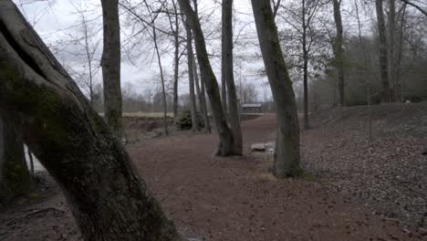 Camera-push-through-trees-near-a-pond-on-an-overcast-day,-slow-motion