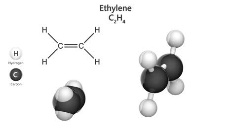 ethylene (c2h4). seamless loop.