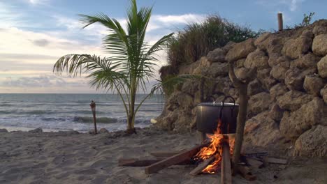 Wide-shot-of-a-metal-cooking-pot-hanging-over-an-open-fire-on-a-sandy-beach-with-a-palm-tree-and-ocean-in-the-background