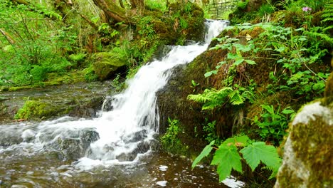 beautiful fresh flowing clear waterfall cascades in peaceful green forest foliage environment dolly left
