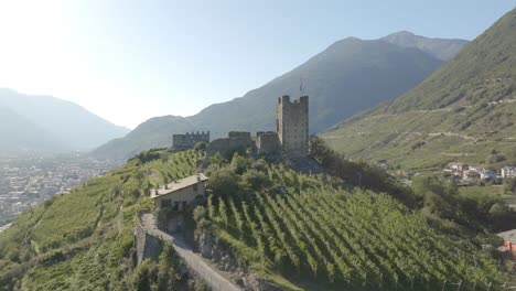 north italy, discover sondrio from grumello castle. vineyards