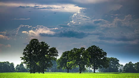 big green deciduous trees in front of dramatic cloudscape panorama, timelapse