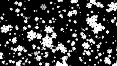 pequeños copos de nieve, nieve real aislada para su inserción en un proyecto de invierno, copos de neve en un fondo negro en 4k