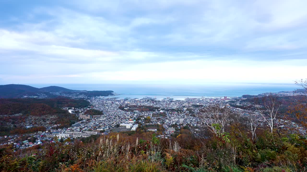 오타루 최고의 뷰