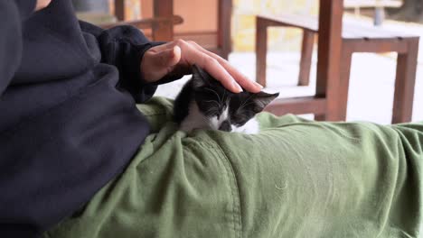 anonymous woman embracing kitten on bench