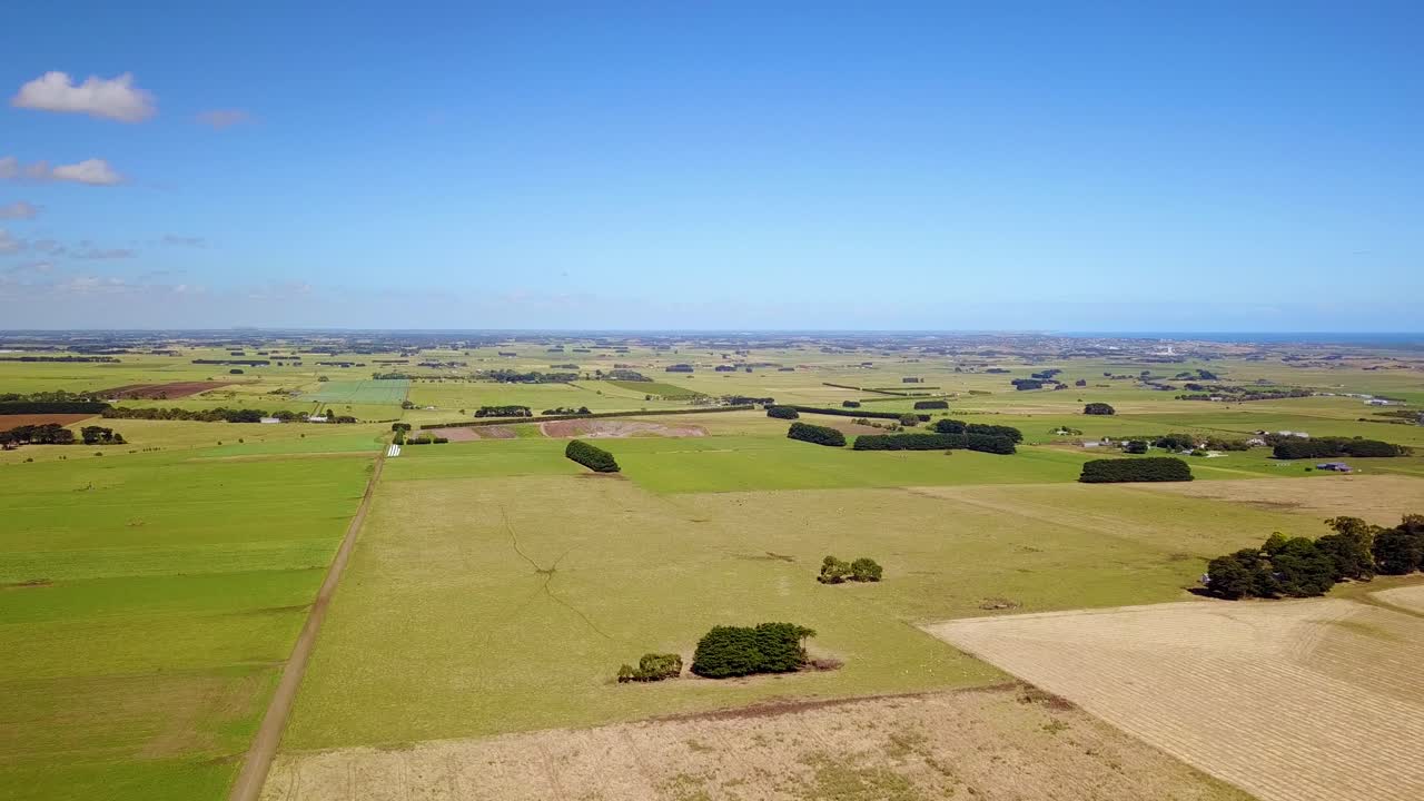 toma aérea de drones de campos verdes y agricultura cerca de illowa victoria australia 1