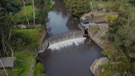 aerial view of jungle river flowing through dam in bali rainforest drone view of lush tropical paradise at sunrise indonesia 4k