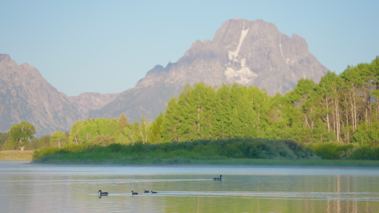Ducks swim on a tranquil, misty lake with majestic mountains and green trees in the background