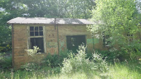 overgrown vegetation, ruined building, destroyed windows, eerie location