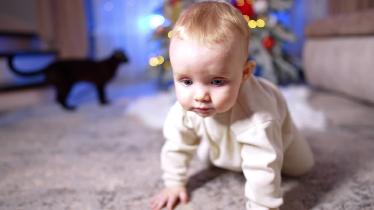 Beautiful smiling Caucasian grey-eyed baby following camera. Close up. Child crawls by the floor. Christmas tree and a black cat at backdrop.
