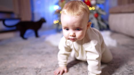 beautiful smiling caucasian grey-eyed baby following camera. close up. child crawls by the floor. christmas tree and a black cat at backdrop.