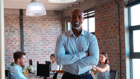 portrait of smiling mature businessman standing in busy office with colleagues working in background