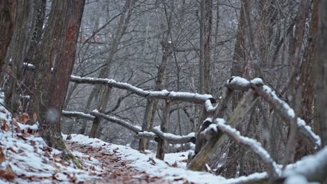 Snowflakes-falling-on-hiking-trail-through-the-woods,-slow-motion-low-angle