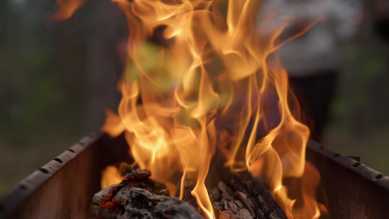 primer plano del fuego que se mueve hacia la cámara en el bosque de verano.