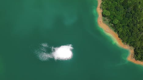 Toma-Aérea-De-Arriba-Hacia-Abajo-De-Una-Playa-De-Arena-Con-Un-Lago-Verde-Y-Un-Reflejo-Del-Sol-En-Una-Isla-Verde-En-Crecimiento-En-El-Embalse-De-Feisui,-Taiwán