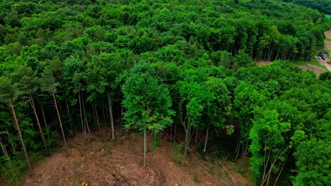 Imágenes-Aéreas-De-Drones-4k-De-La-Realidad-Ambiental:-Rápida-Deforestación-Por-Manos-Humanas