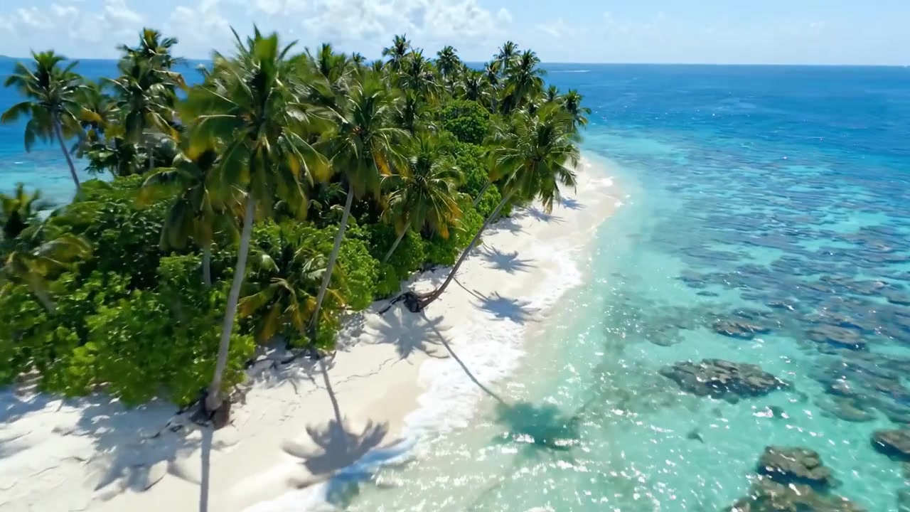 Vista Aerea di un'Isola Tropicale Circondata da Acque Turchesi e Palme Verdi Lussureggianti, Catturando la Serenità e la Bellezza di un Paradiso Remoto nella Natura