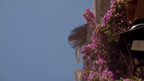 Schöner-Balkon-Und-Sonnenschirm-Im-Obergeschoss-Mit-Vielen-Blumen-An-Der-Wand