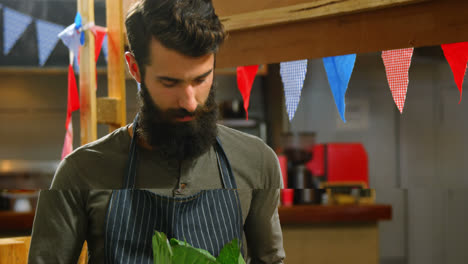 male staff holding a cabbage