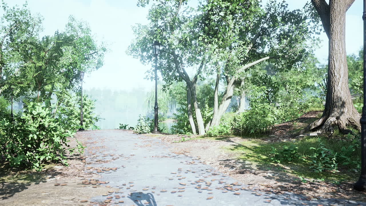 공원 안의 산책로